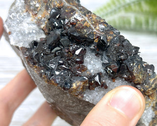 Sphalerite - Elmwood Mine #1