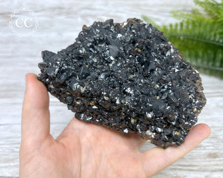 Sphalerite - Elmwood Mine #1