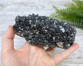 Sphalerite - Elmwood Mine #1