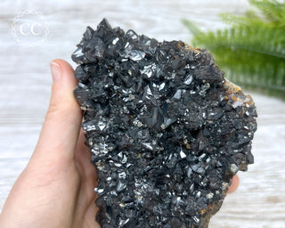 Sphalerite - Elmwood Mine #1