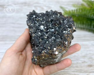 Sphalerite - Elmwood Mine #1