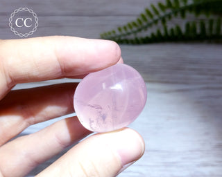 Star Rose Quartz Pebble