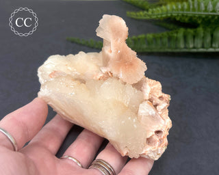 Stilbite Bowtie Specimen #5