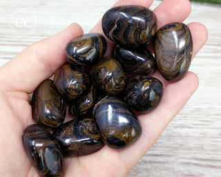 Stromatolite Tumbled Crystals in hand