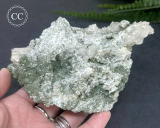 Swiss Chlorite Quartz #1