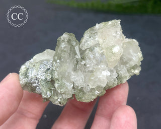 Swiss Chlorite Quartz #2