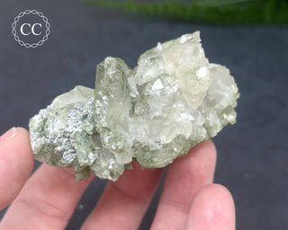 Swiss Chlorite Quartz #2