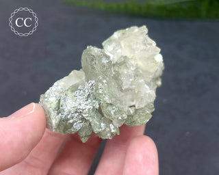 Swiss Chlorite Quartz #2