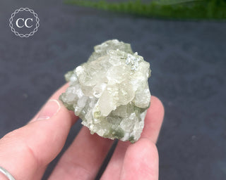 Swiss Chlorite Quartz #2