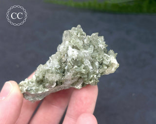 Swiss Chlorite Quartz #3
