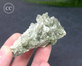 Swiss Chlorite Quartz #3