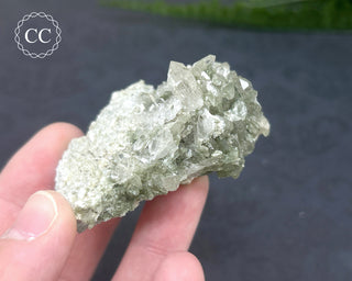 Swiss Chlorite Quartz #3