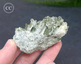 Swiss Chlorite Quartz #3