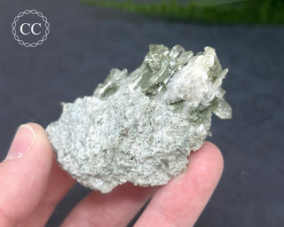 Swiss Chlorite Quartz #3
