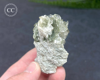 Swiss Chlorite Quartz #3
