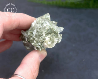 Swiss Chlorite Quartz #3