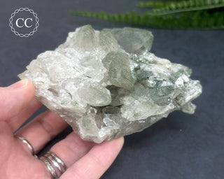 Swiss Chlorite Quartz #4