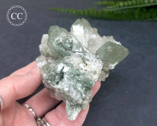 Swiss Chlorite Quartz #4