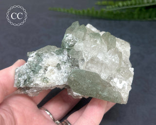 Swiss Chlorite Quartz #4