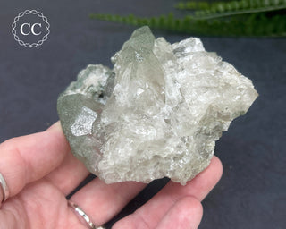 Swiss Chlorite Quartz #4