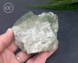 Swiss Chlorite Quartz #4