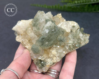 Swiss Chlorite Quartz #5