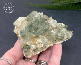 Swiss Chlorite Quartz #5