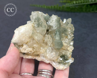 Swiss Chlorite Quartz #5