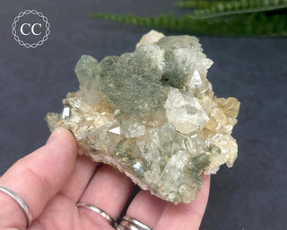Swiss Chlorite Quartz #5
