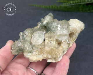 Swiss Chlorite Quartz #5