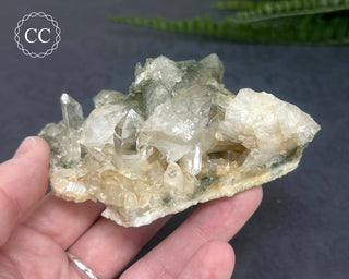 Swiss Chlorite Quartz #5