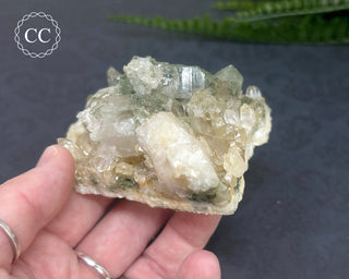 Swiss Chlorite Quartz #5