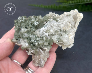 Swiss Chlorite Quartz #6
