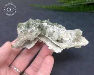 Swiss Chlorite Quartz #6