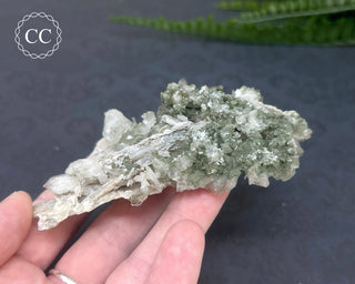 Swiss Chlorite Quartz #6