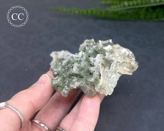 Swiss Chlorite Quartz #6
