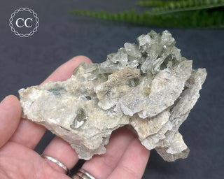 Swiss Chlorite Quartz #6