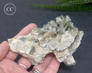 Swiss Chlorite Quartz #6