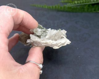 Swiss Chlorite Quartz #6