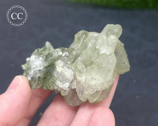 Swiss Chlorite Quartz #7