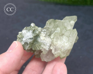 Swiss Chlorite Quartz #7