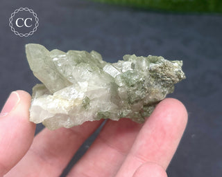 Swiss Chlorite Quartz #7