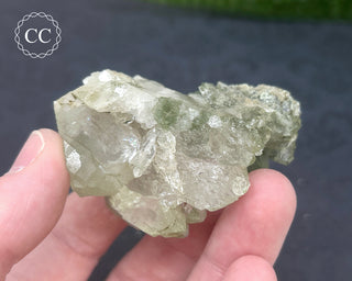 Swiss Chlorite Quartz #7
