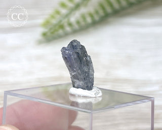 Tanzanite Crystal #5