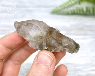 Tiger Blue Tara Quartz #4
