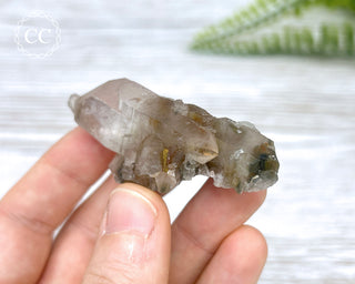 Tiger Blue Tara Quartz #4