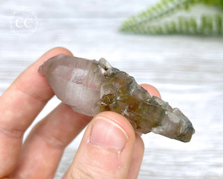 Tiger Blue Tara Quartz #4