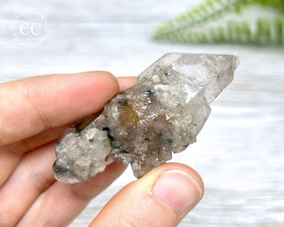 Tiger Blue Tara Quartz #4
