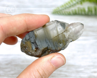 Tiger Blue Tara Quartz #5