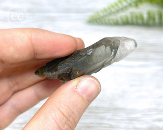 Tiger Blue Tara Quartz #5